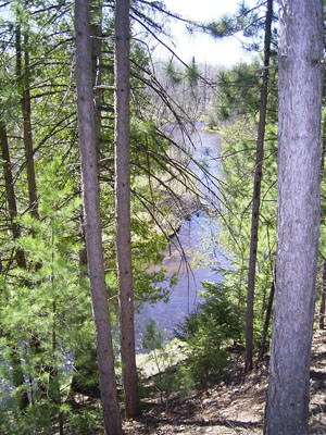Black River